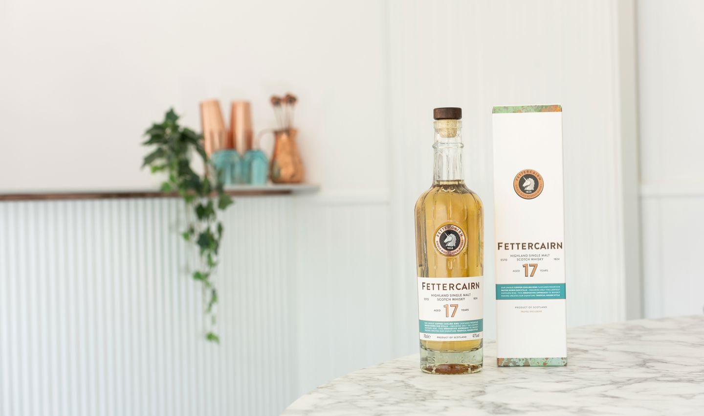 Fettercairn 17YO Highland Single Malt Scotch Whisky (3)